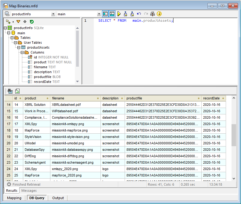 MapForce database query window to validate data mapping binary objects