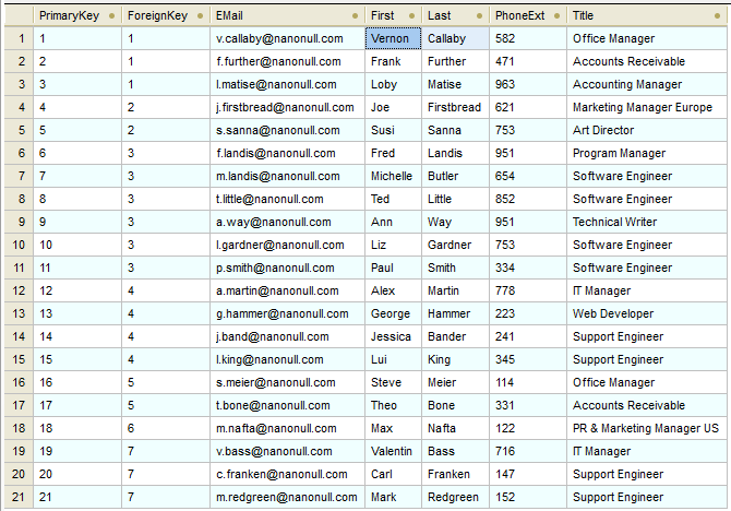 Database table contents after data mapping execution