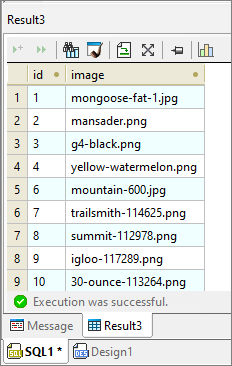 SQL query result for the AI-based Database Image Classification  data mapping