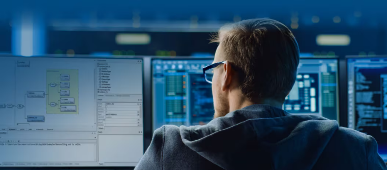 software developer